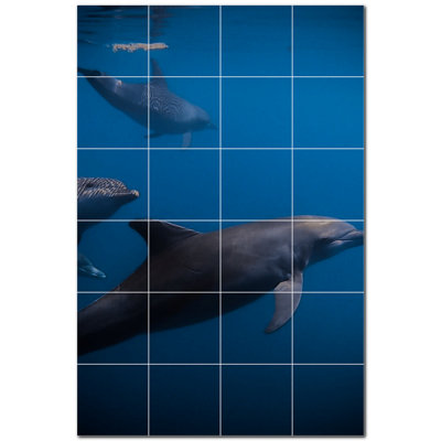 Murale décorative en céramique 6 "x 6" Dolphin Photo