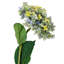 French Hydrangea   Set of 6   9" x 6" x 34"   Multicolor