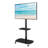 Latitude Run® Single Screen Floor Stand Mount