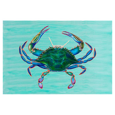 Alaina Non-Slip Doormat