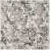 Strasser Performance Abstract Rug