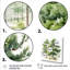 Aquarelle, pin vert, forêt, art mural-1287641014-1287641011