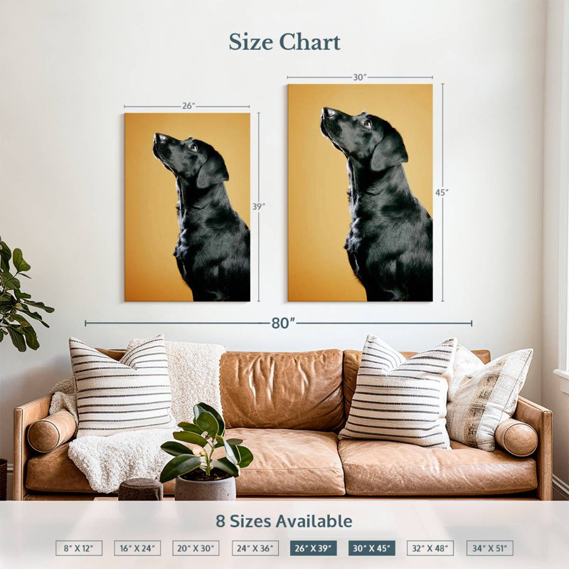 Brampt Obedient Black Dog, 39" H x 26" W