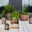 Hampton Planter Set-664934027