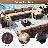 11-Piece Wicker Patio Furniture Set, Outdoor Sectional Seating Group With Cushions-1833916716-1833916713