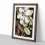 A Laurel Magnolia Tree by Mark Catesby - Picture Frame Painting Print on MDF-55629779-55629781