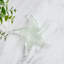 Sculpture nautique décorative Ashayra Glow-In-The-Dark