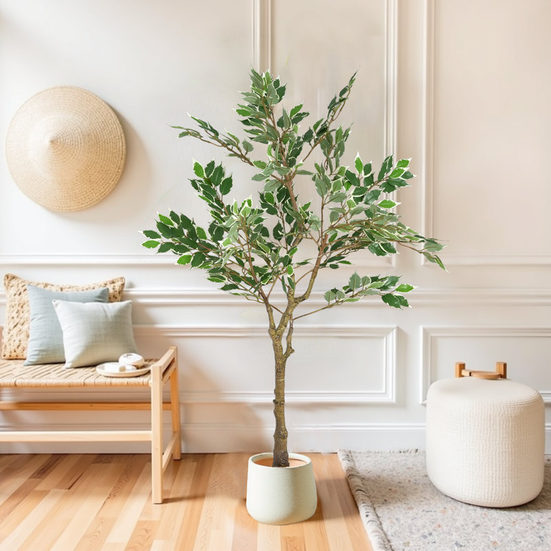 Ficus artificiel 51 po Tripp (pot non inclus)