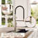 Spring Neck Standard Kitchen Faucet with Dual-Function spray head and Deck Plate