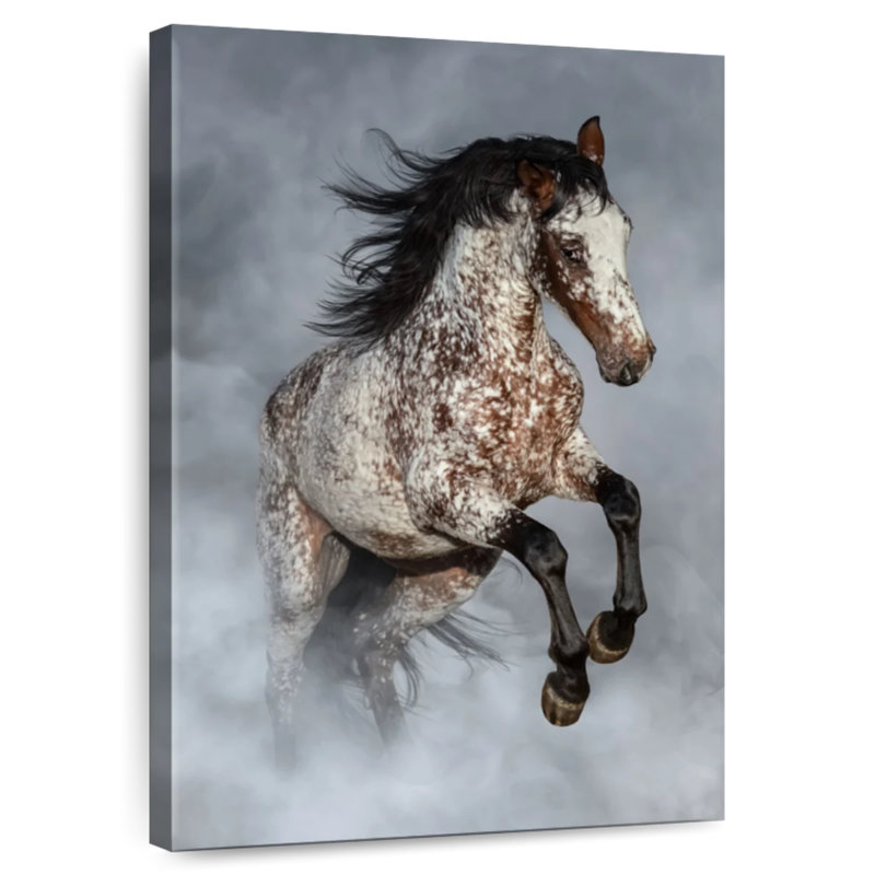 Brampt brumeux Appaloosa, H 24 po x l 16 po