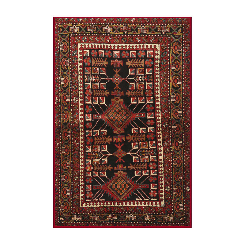 Tapis brun Southwestern, Rectangle 7 pi x 10 pi