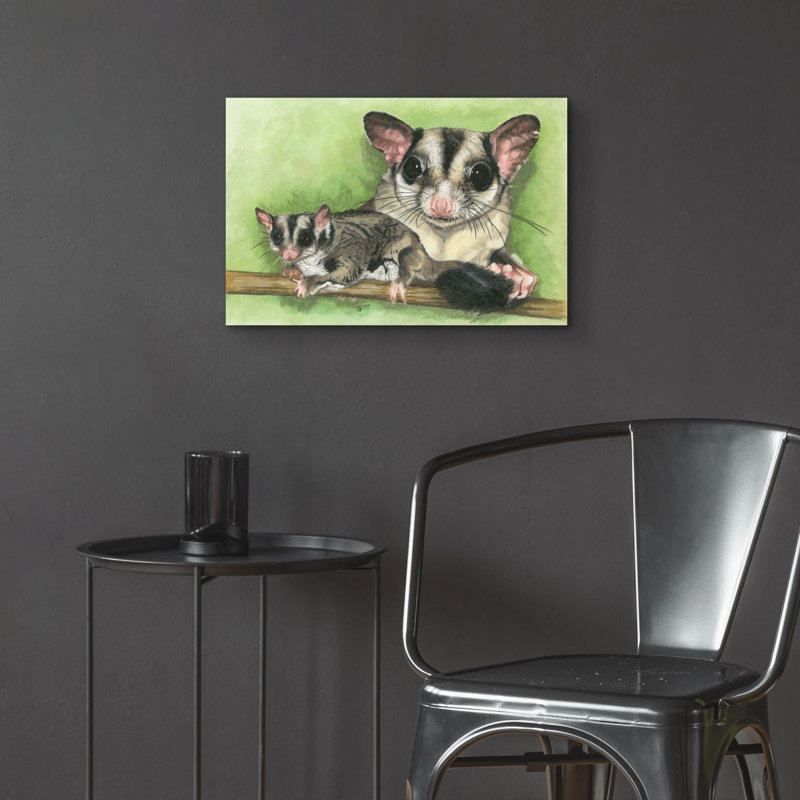 «Sugar Glider» par Barbara Keith - impression non encadrée, H 16 po x l 24 po x P 0,2 po