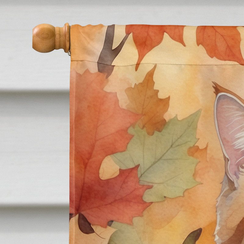 Chat en feuilles d'automne, Manx