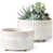 Reactive Glaze White selected