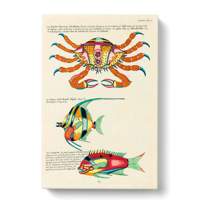 East Indies Fish & Crab Illustrations XXXIX by Torii Kiyonaga - Wrapped Canvas Painting, 60cm H x 40cm W x 3cm D