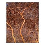Abstract Area Rug