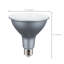 19 Watt Silver Bulb