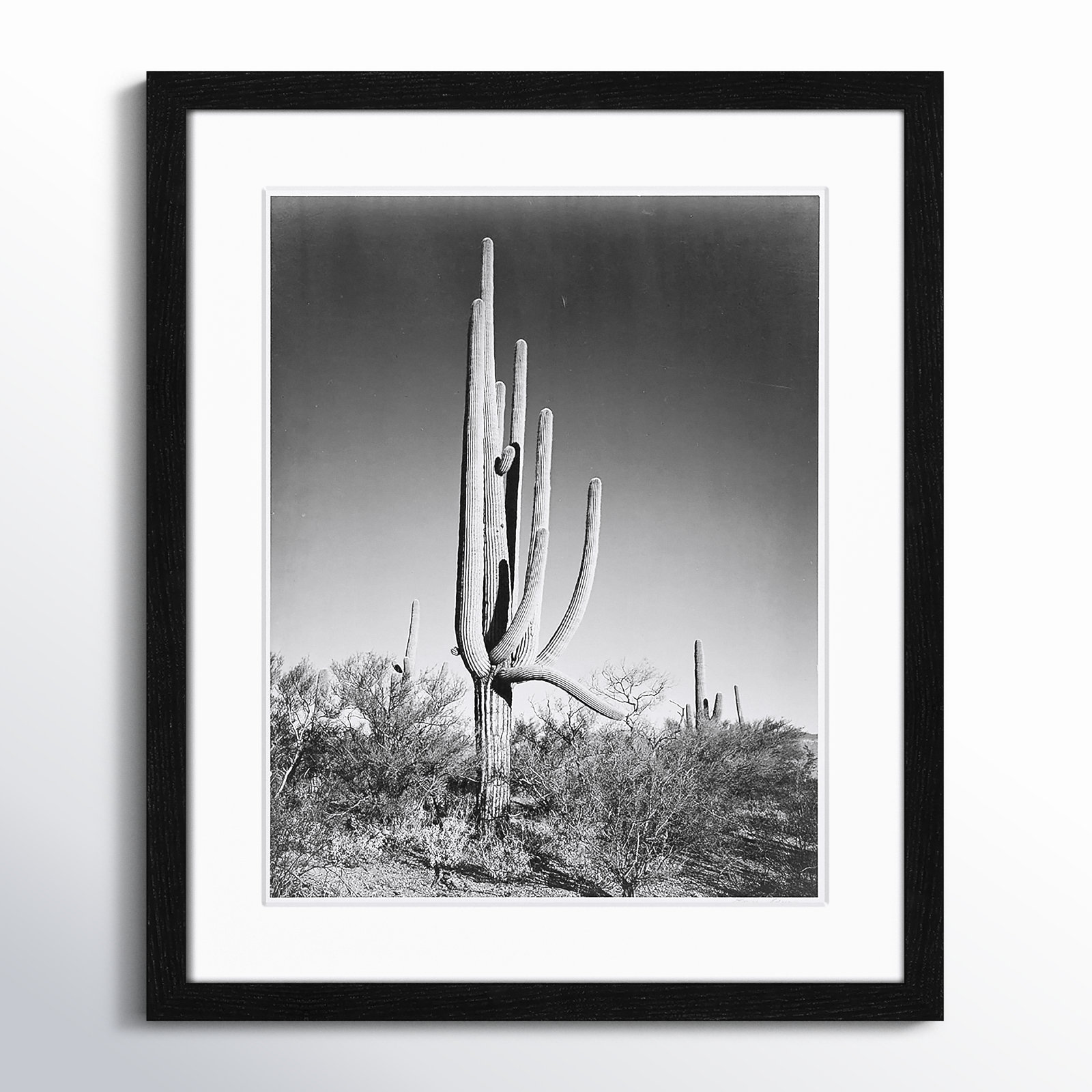 Saguaro National Monument Print by Ansel Adams, Black, 19" H x 16" W x 0.75" D