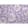 Premium Machine Washable Cerrito AMF551 Purple Rug