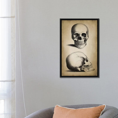 « crâne », impression sur toile