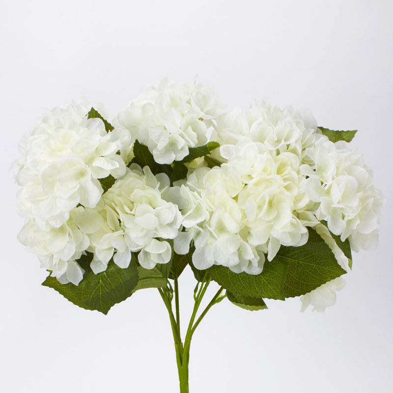 Hydrangea Arrangement
