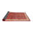 Oriental Indoor Rug-1995285142