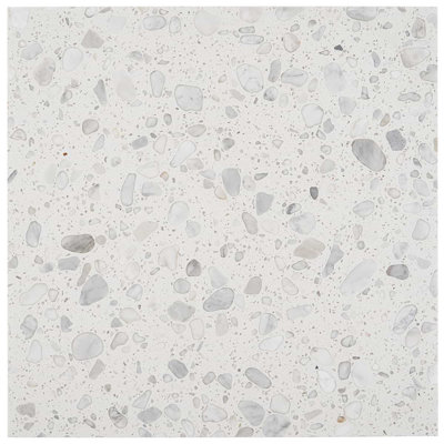 Terrazzo Italy Sacra 24x24 Honed Marble Tile