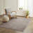 Soft Polyester Shag Area Rug-1789672869