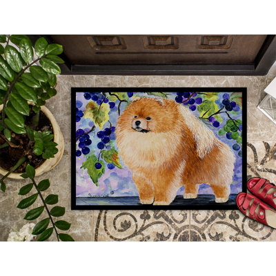 Non-Slip No Pattern Doormat