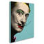 « salvador dali », impression sur toile tendue-15194489