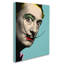 « salvador dali », impression sur toile tendue-15194490