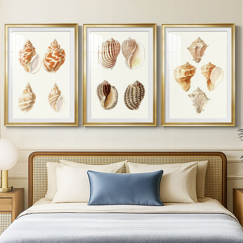 Lamarck Shells IV - reproduction encadrée sur mesure de qualité supérieure mate - 3 pièces, H 19 po x l 27 po, Doré
