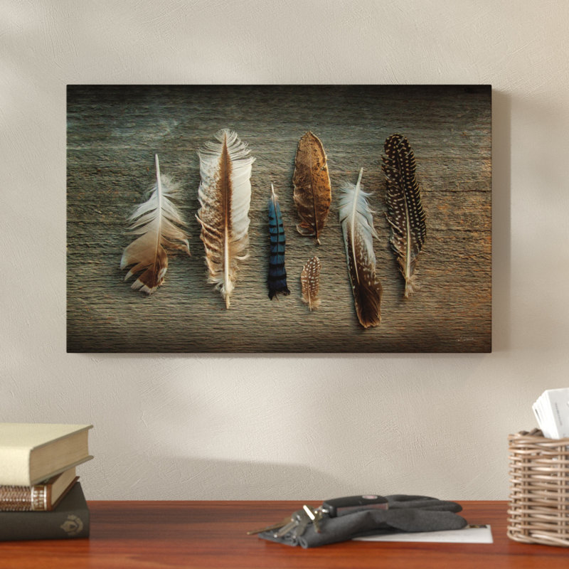 «Feather Collection I», reproduction d'impression sur toile tendue, H 30 po x l 47 po x P 2 po