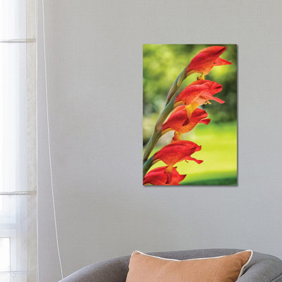 Red Tropical Flower - Wrapped Canvas Print