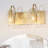Arnitha 2-Light Dimmable Gold Vanity Light