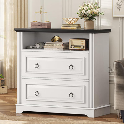 33.8'' Wide 2 -Drawer File Cabinet  Filing Cabinet For Home Office