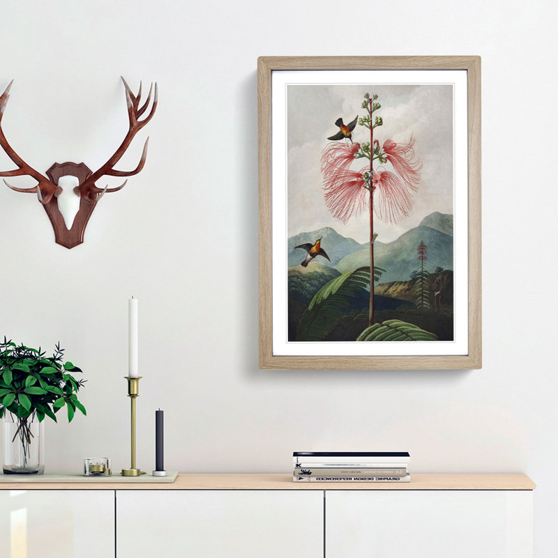 Flowering Plant and Birds by R.J. Thornton - Picture Frame Graphic Art Print, 48cm H x 36cm W x 2cm D, Oak Framed
