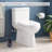 4-Piece Marble Bathroom Accessory Set-113839508