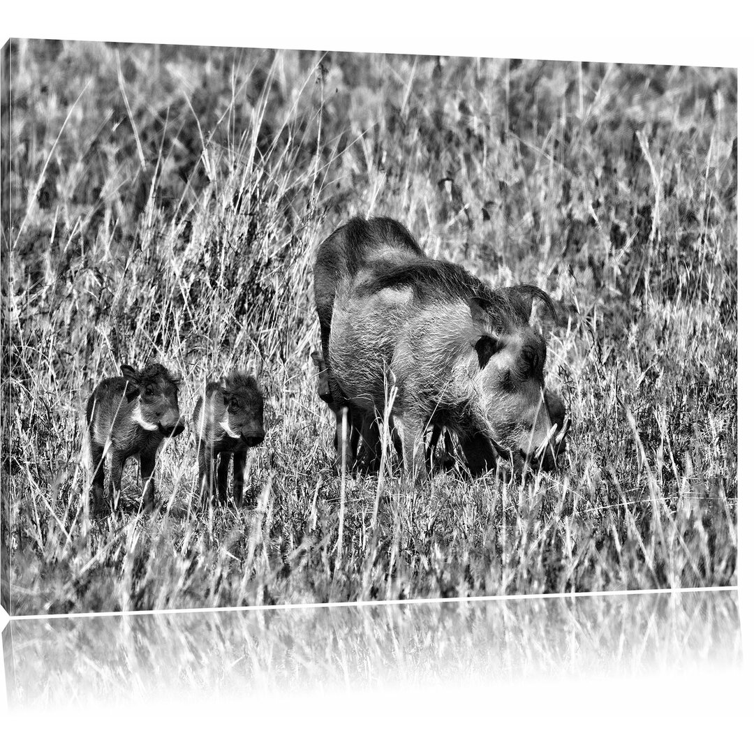 Leinwandbild Kleine Warzenschweinfamilie in der Savanne in Monochrom