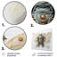 Captivating Moths Insect I - Art mural insectes et insectes-1979607662