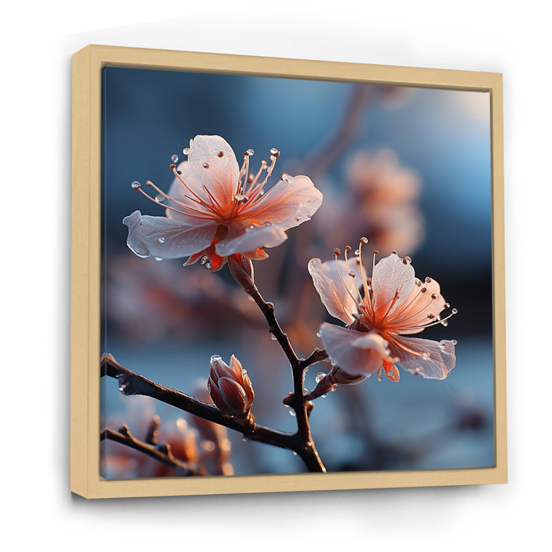 Winter Cherry Blossoum Flowers I - Plantes et fleurs, art mural, Cadre flottant brun, H 16 po x l 16 po x P 1 po
