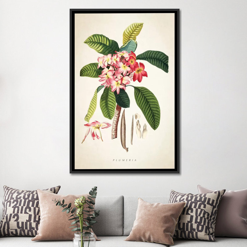 «Plumeria Botanical Print», impression sur toile, H 26 po x l 18 po x P 1,5 po, Toile encadrée noire, Pas de tapis