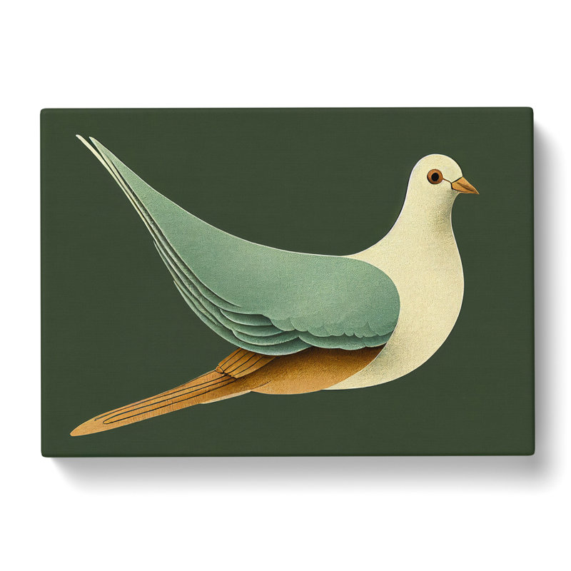 Ingenious Dove Bird - Wrapped Canvas, 40cm H x 60cm W