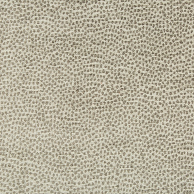 Performance Crypton Home Fabric