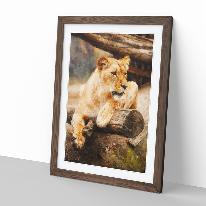 Lioness - Picture Frame Graphic Art, Walnut Framed, 48cm H x 36cm W x 2cm D