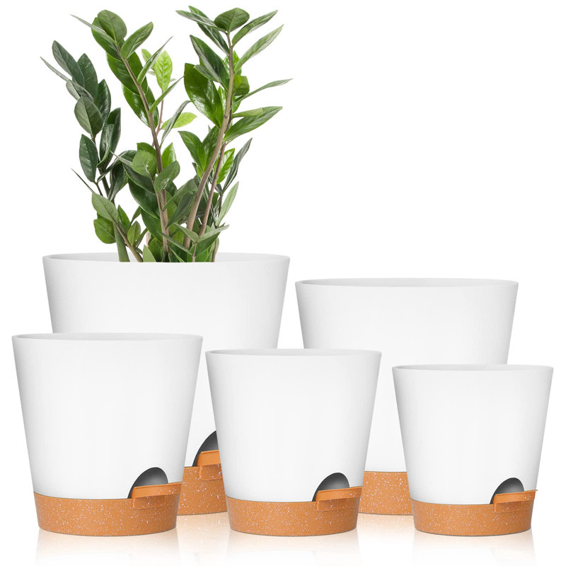 Plant Pots with Drainage Hole, White