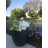 Karola Pot Planter-1267224135-1267224139