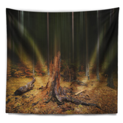 Paysage, forêt d'automne sombre sur tapisserie matinale brumeuse