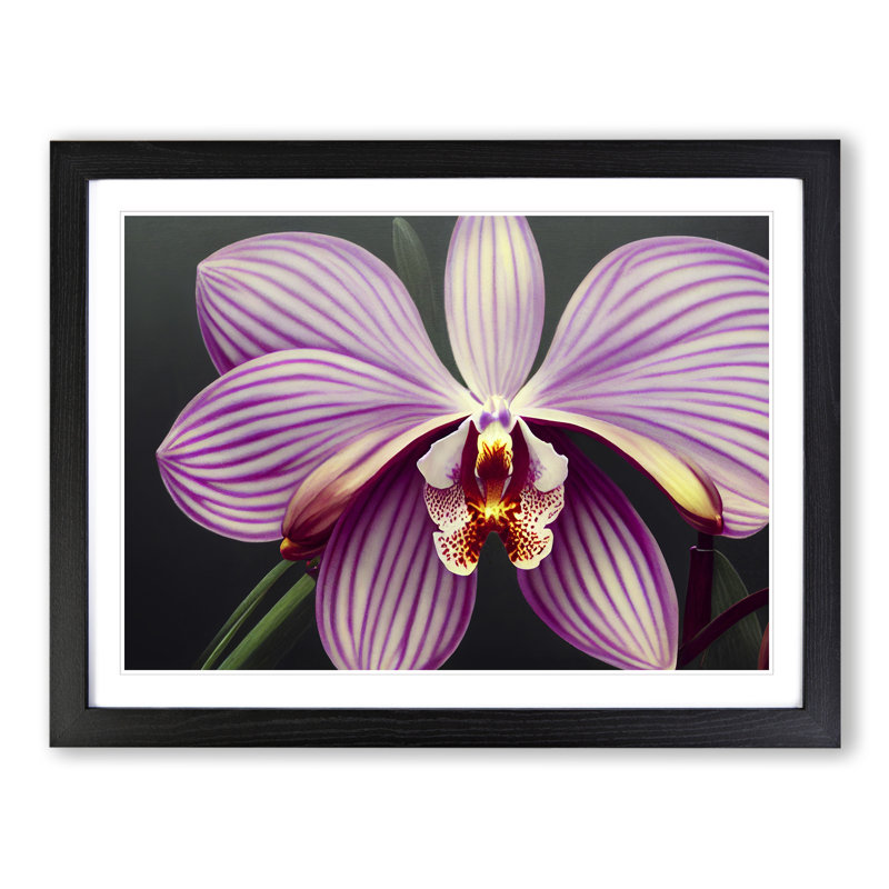 Orchid Flower - Single Picture Frame Print, Black, 46cm H x 64cm W x 2cm D