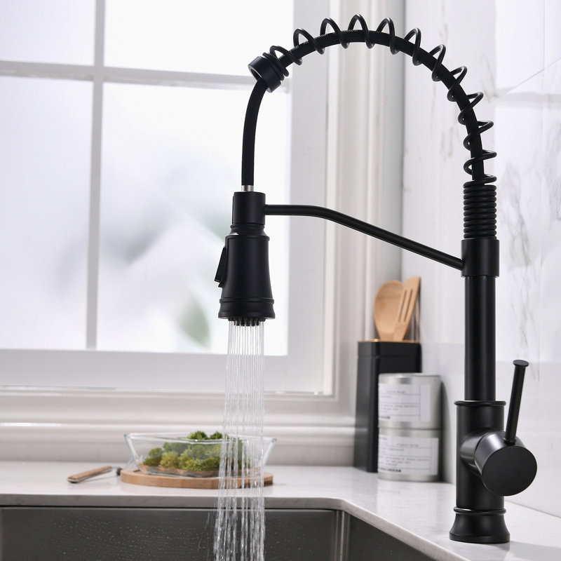 Robinet de cuisine avec douchette extractible et robinets d'évier de cuisine à poignée simple en acier inoxydable noir